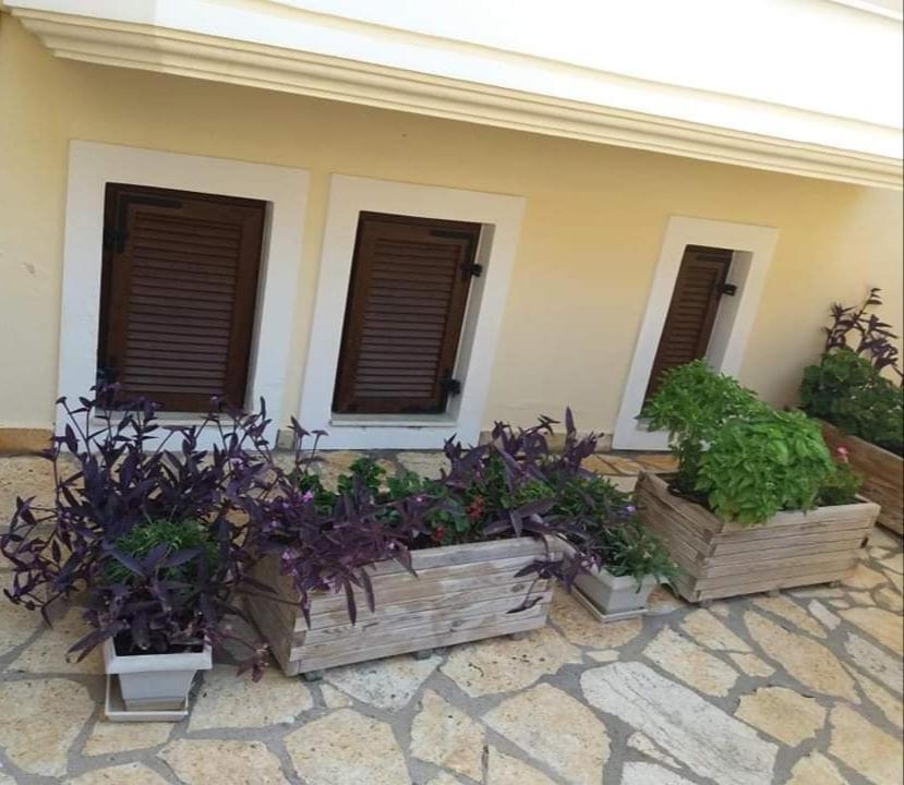 Villa Karolina Tsogkas Sívota Buitenkant foto